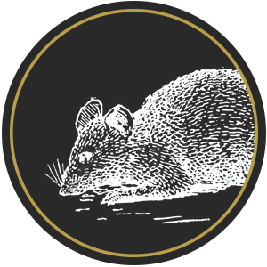 pełzacze