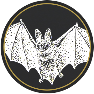 pełzacze
